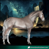 Horse Color:Void Platinum Silver Blue Onyx 