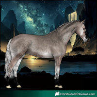 Horse Color:Void Platinum Silver Blue Onyx 