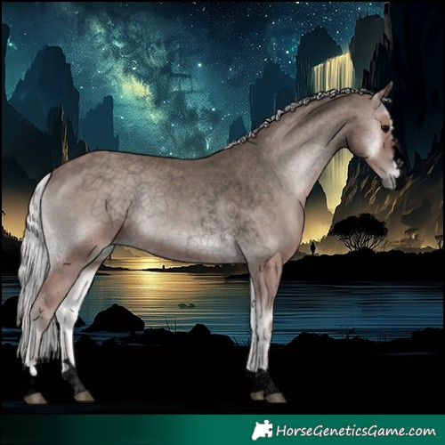 Horse Color:Void Platinum Silver Blue Onyx 