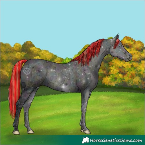 Horse Color:Painted Midnight Buckskin Ice Pearl Onyx