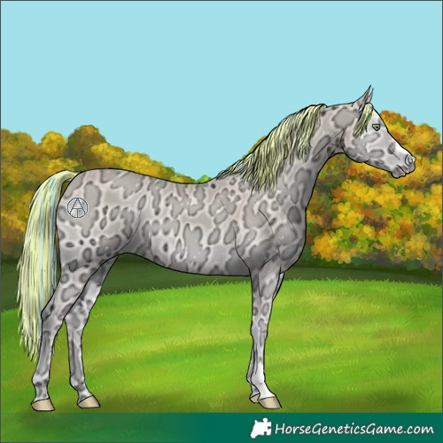 Horse Color:Painted Perlino Ice Onyx