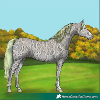 Horse Color:Painted Perlino Ice Onyx 