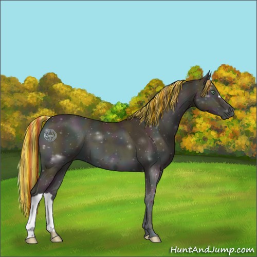 Horse Color:Painted Midnight Buckskin Pearl Onyx 