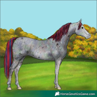 Horse Color:ERROR: UNKNOWN ANOMALY