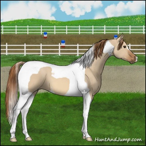 Horse Color:Red Dun Tobiano