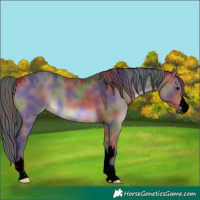 Horse Color:Void Nacre Brown Dun