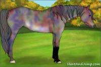 Horse Color:Void Nacre Brown Dun 