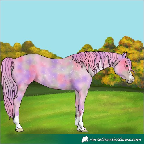 Horse Color:Nacre Watercolor Black