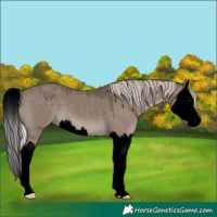 Horse Color:Void White Spotted Silver Grullo Splash 