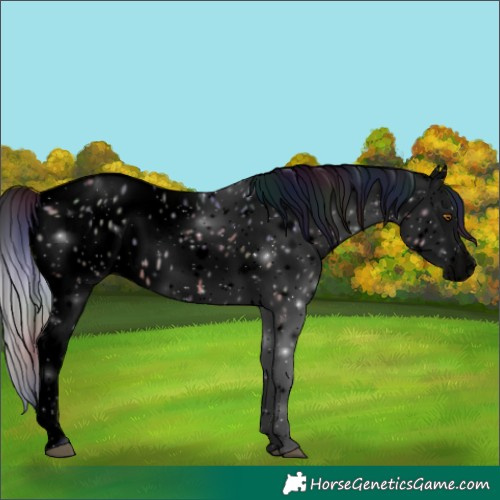 Horse Color:Void Platinum Nacre Silver Smoky Grullo Near Leopard 