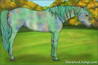 Horse Color:Void Nacre Watercolor Smoky Grullo