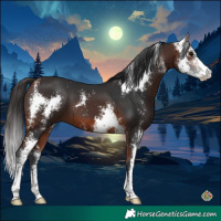 Horse Color:Bay Sabino 