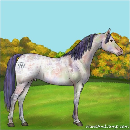 Horse Color:Painted Nacre Bay Ice Dun 