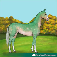 Horse Color:Watercolor Silver Smoky Black