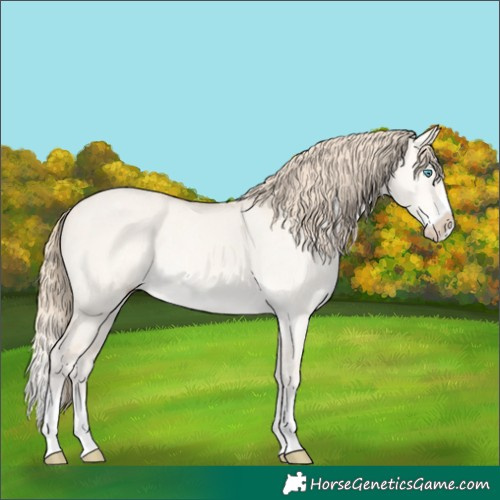 Horse Color:Perlino Dun Splash Rabicano