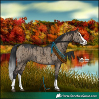 Horse Color:Brown Dun Splash Brindle