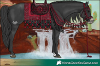 Horse Color:Black Splash Frame