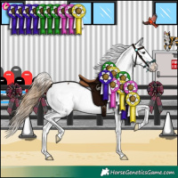 Horse Color:Buckskin Snowcap