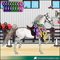 Horse Color:Buckskin Appaloosa 