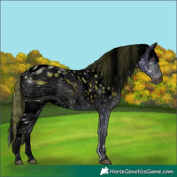 Horse Color:ERROR: UNKNOWN ANOMALY