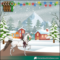 Horse Color:Amber Champagne Tobiano Appaloosa 