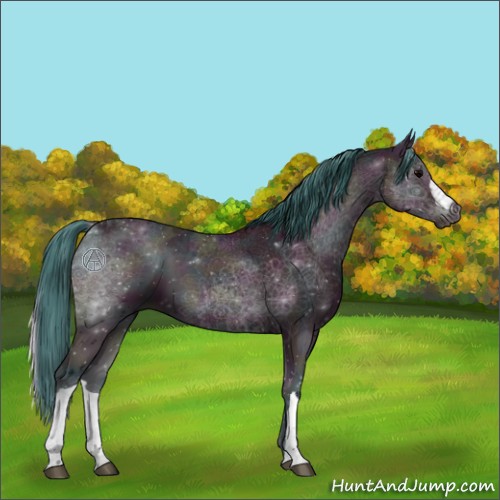 Horse Color:Watercolor Midnight Bay Ice Onyx 