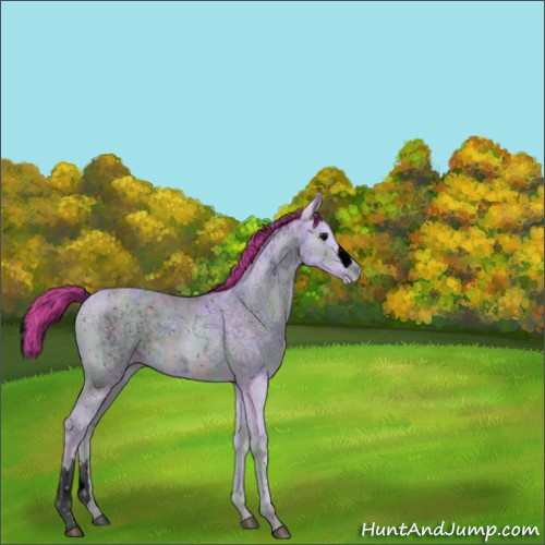 Horse Color:ERROR: UNKNOWN ANOMALY