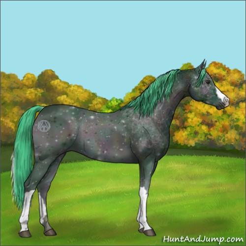 Horse Color:Watercolor Midnight Bay Onyx 