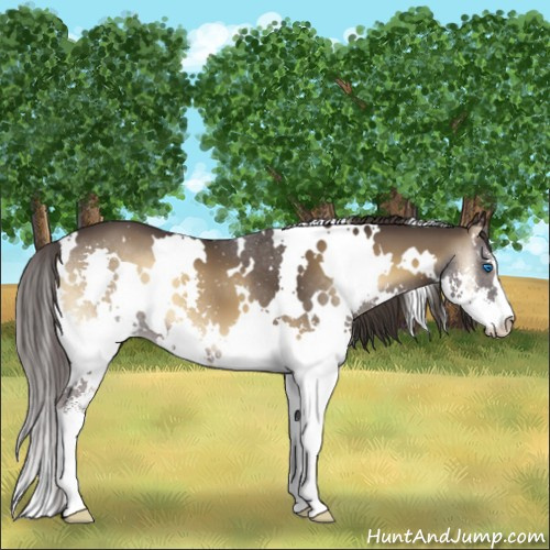 Horse Color:White Spotted Smoky Blue Onyx Sabino Splash