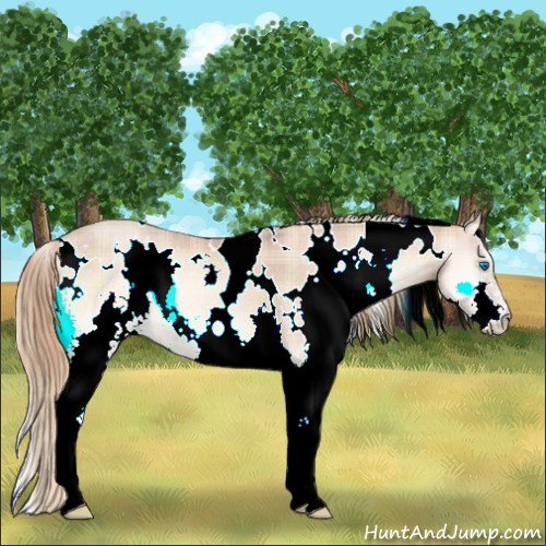 Horse Color:Plaid  White Spotted Red Onyx Roan Pearl Splash 