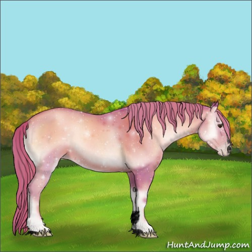 Horse Color:Void Watercolor Gold Champagne Onyx Sabino 