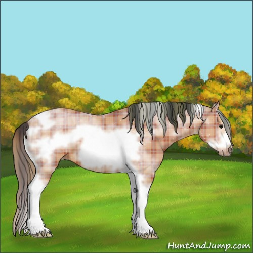 Horse Color:Plaid  Bay Sabino Tobiano Frame 