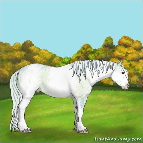 Horse Color:Watercolor White Spotted Silver Bay Ice Sabino 
