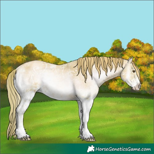 Horse Color:Watercolor White Spotted Gold Champagne Ice Onyx Sabino Rabicano 