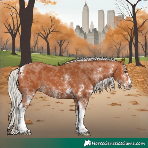 Horse Color:White Spotted Silver Bay Tobiano 