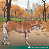 Horse Color:White Spotted Silver Bay Tobiano