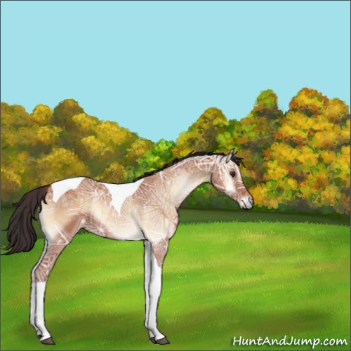 Horse Color:Bay Ice Onyx Sabino Tobiano 