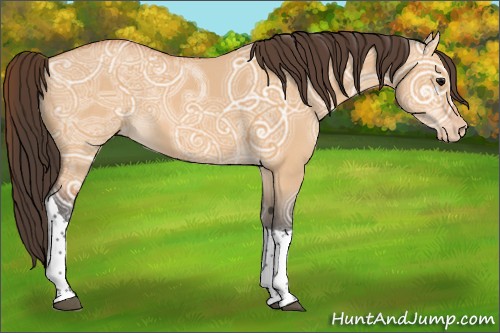 Horse Color:Bay Ice Dun Tobiano Appaloosa 