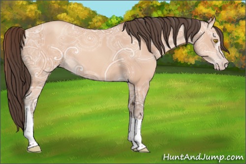 Horse Color:Amber Champagne Ice Tobiano 