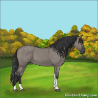 Horse Color:Grullo Roan Tobiano 