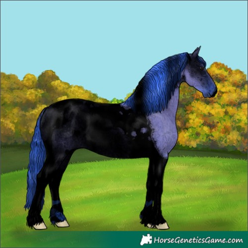 Horse Color:Void Watercolor Grullo Tobiano Rabicano 