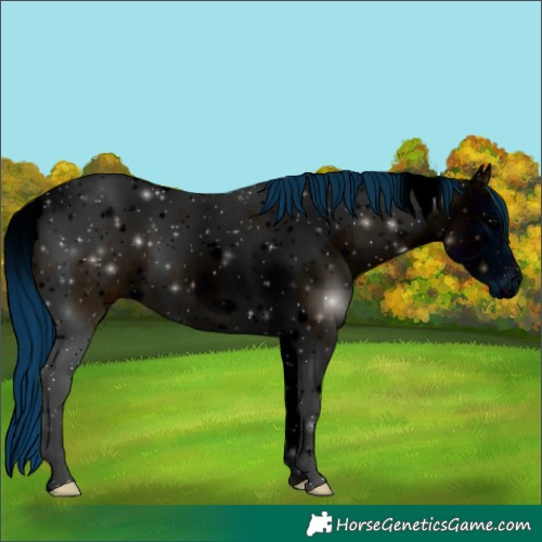 Horse Color:ERROR: UNKNOWN ANOMALY