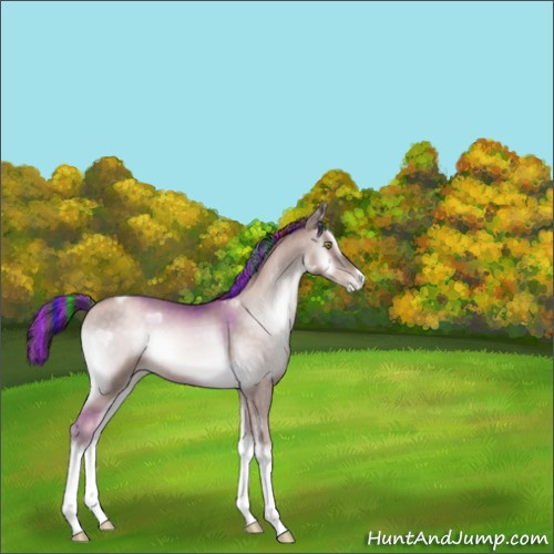 Horse Color:Platinum Painted Brown Pearl Onyx 