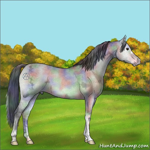 Horse Color:Nacre Brown Chinchilla Ice Onyx Brindle 