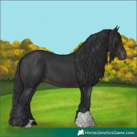 Horse Color:Brown 