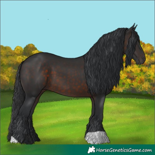 Horse Color:Brown 