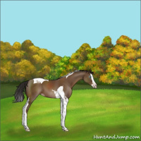 Horse Color:Gray Classic Champagne Splash Tobiano 