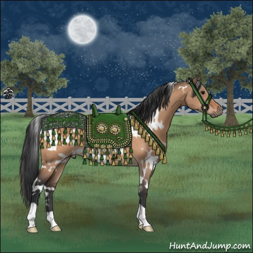 Horse Color:White Spotted Bay Dun 