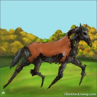Horse Color:Bay Frame 