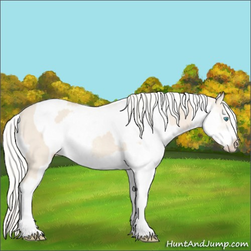 Horse Color:Cremello Sabino  and Cremello Sabino Frame 